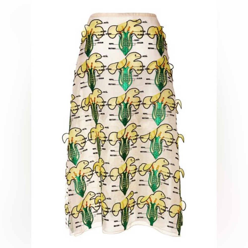 Runway Christopher Kane Buttercup Long Skirt US6 SS14 Embroidery